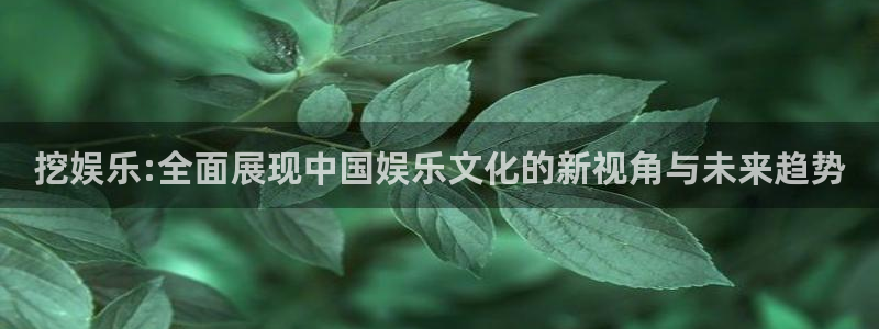 彩名堂计划旧版本