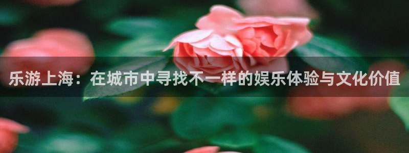彩名堂6.0计划